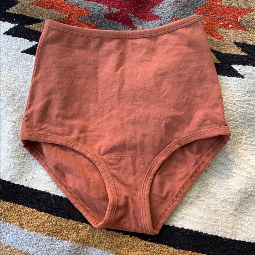 ARQ High Rise Undies Terra Cotta XS